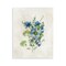 Stupell Industries Blue Wildflower Cluster Wall Plaque Art Design by Nan